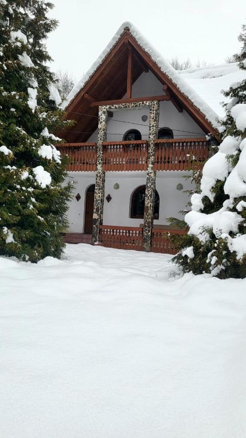 Vila Luca's Cîrţişoara Exterior foto